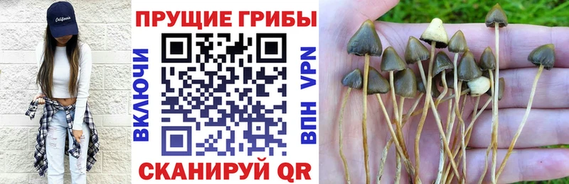 ОМГ ОМГ маркетплейс  Кущёвская  Псилоцибиновые грибы Psilocybe 